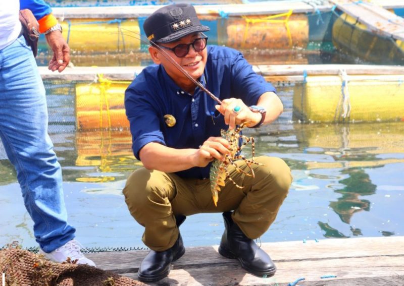 Pj. Gubernur NTT Andriko N. Susanto saat meninjau lokasi budidaya Lobster di Kawasan Mulut Seribu | Foto: BidkomDKSIP_rotendao