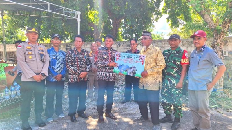 Bupati Rote Ndo Paulus Henuk, SH secara simbolis menyerahkan hewan kurban jenis Sapi bagi umat Muslim dalam rangka perayaan Hari Raya Idul Adha 1446 H Tahun 2025 | Foto: Bidkom_DKISP Rote Ndao