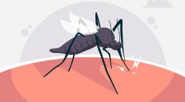 Foto: ilustrasi Malaria | Freepik