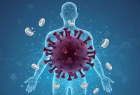 ILUSTRASI:rotendao.com