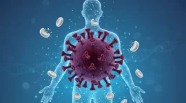 ILUSTRASI:rotendao.com