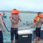 saat menyelamatkan segerombolan paus pilot yang terjebak pukat nelayan di Perairan Desa Fuanfuni, Rote Ndao, NTT, Senin (9/3/2026). FOTO: ROOL/Ho-humasPolresRN