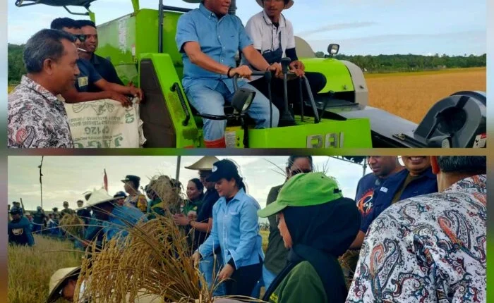 foto slider headline