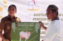 Menjelang Setahun Kepemimpinan Paulus-Apremoi, Rote Ndao Raih Penghargaan UHC Kategori Pratama 2026