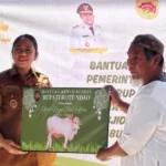 Masyarakat Rote Ndao Bakal Dapat Kemudahan Akses Layanan Medis di RS Ben Mboi