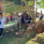 Masyarakat Rote Ndao Bakal Dapat Kemudahan Akses Layanan Medis di RS Ben Mboi